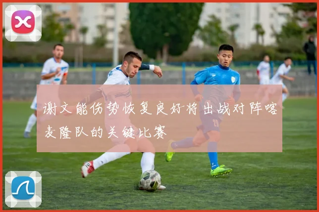 谢文能伤势恢复良好将出战对阵喀麦隆队的关键比赛