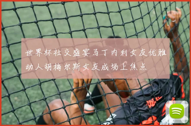 世界杯社交盛宴马丁内利女友优雅动人胡梅尔斯女友成场上焦点